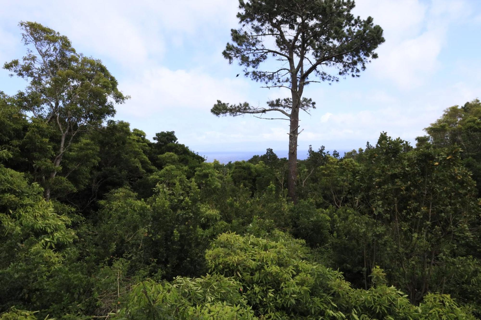 São Roque do Pico Casas Do Caminho Novoヴィラ エクステリア 写真
