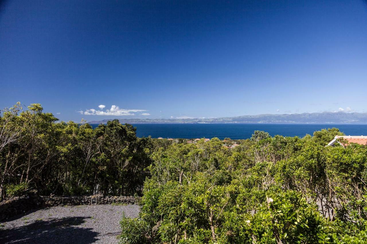 São Roque do Pico Casas Do Caminho Novoヴィラ エクステリア 写真